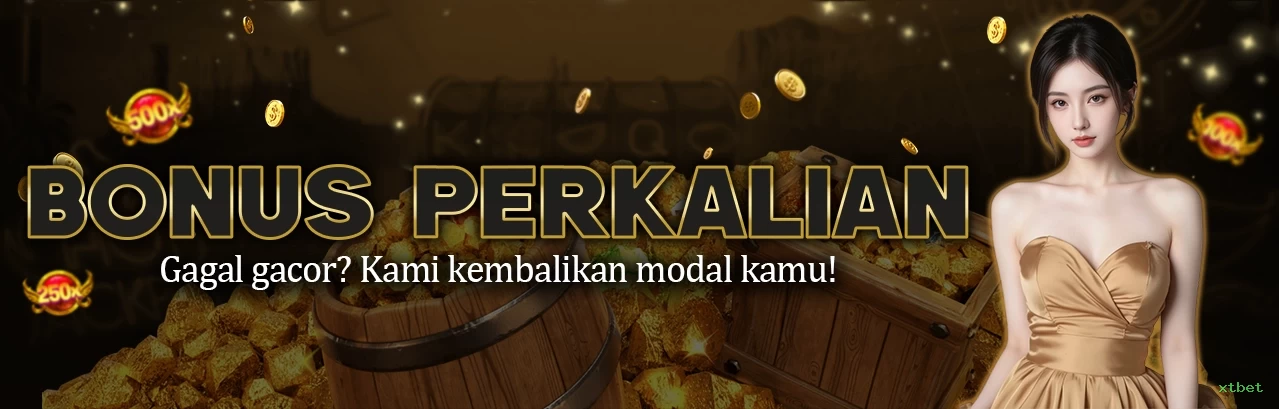 VIP Bronze Benefits